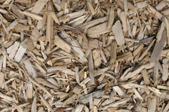 biomass boilers Wyson